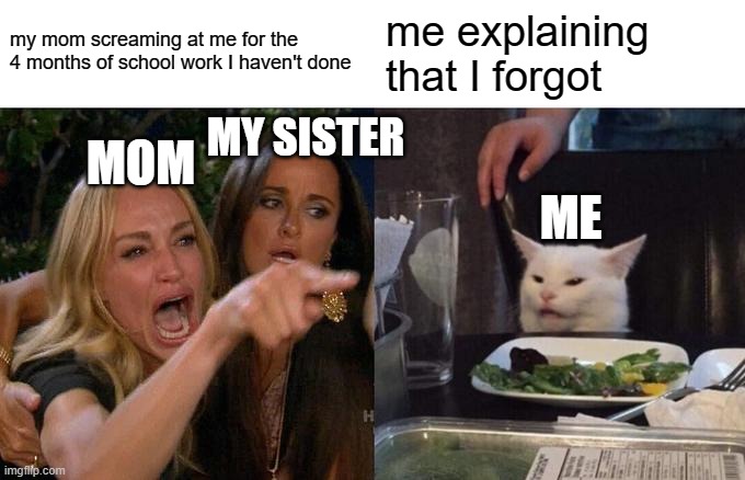Woman Yelling At Cat | my mom screaming at me for the 4 months of school work I haven't done; me explaining that I forgot; MY SISTER; MOM; ME | image tagged in memes,woman yelling at cat | made w/ Imgflip meme maker
