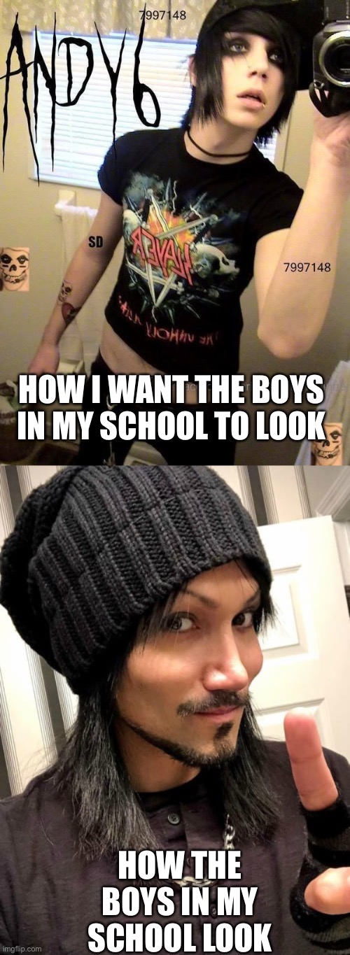 HOW I WANT THE BOYS IN MY SCHOOL TO LOOK; HOW THE BOYS IN MY SCHOOL LOOK | image tagged in andy beirsack,ashely purdy,bvb,black veil brides,school | made w/ Imgflip meme maker