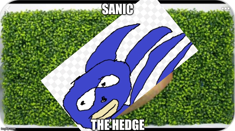 SANIC... the whaaat? | SANIC; THE HEDGE | image tagged in sanic | made w/ Imgflip meme maker