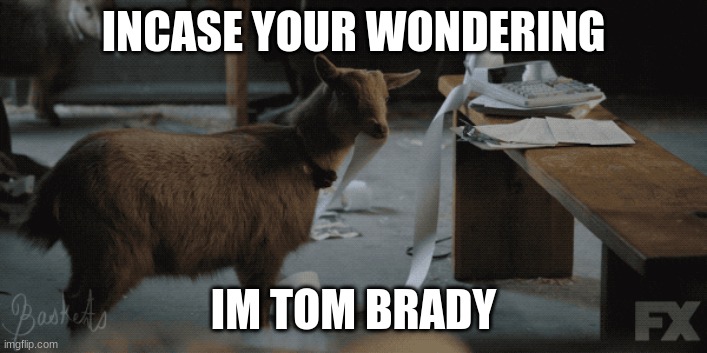 goat | INCASE YOUR WONDERING; IM TOM BRADY | image tagged in memes | made w/ Imgflip meme maker