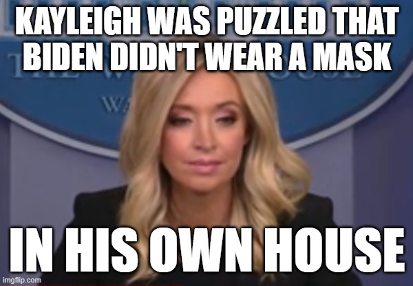 Stupid is as stupid does? | KAYLEIGH WAS PUZZLED THAT
BIDEN DIDN'T WEAR A MASK; IN HIS OWN HOUSE | image tagged in kayleigh mcenany,covid-19,joe biden | made w/ Imgflip meme maker