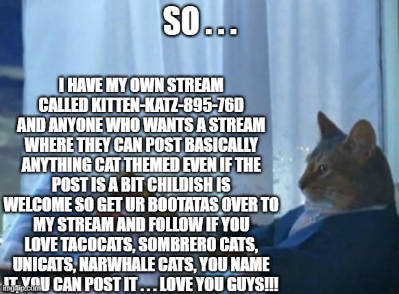 new cat stream!!!!!!! come if you love cats as much as i do!!!!! first time memers welcome!!! love yall | I HAVE MY OWN STREAM CALLED KITTEN-KATZ-895-76D AND ANYONE WHO WANTS A STREAM WHERE THEY CAN POST BASICALLY ANYTHING CAT THEMED EVEN IF THE POST IS A BIT CHILDISH IS WELCOME SO GET UR BOOTATAS OVER TO MY STREAM AND FOLLOW IF YOU LOVE TACOCATS, SOMBRERO CATS, UNICATS, NARWHALE CATS, YOU NAME IT, YOU CAN POST IT . . . LOVE YOU GUYS!!! SO . . . | image tagged in memes,i should buy a boat cat,stream,cats,new memes | made w/ Imgflip meme maker