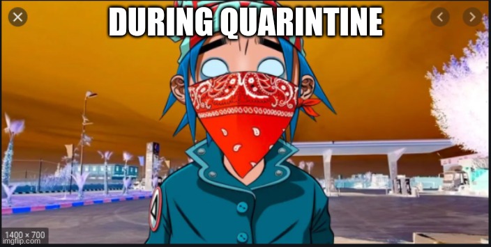 face mask | DURING QUARINTINE | image tagged in mask,gorillaz,2d | made w/ Imgflip meme maker