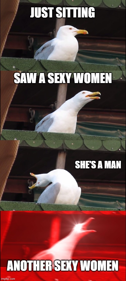 Surprised seagull | JUST SITTING; SAW A SEXY WOMEN; SHE'S A MAN; ANOTHER SEXY WOMEN | image tagged in memes,inhaling seagull | made w/ Imgflip meme maker