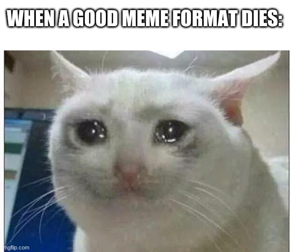 crying cat | WHEN A GOOD MEME FORMAT DIES: | image tagged in crying cat | made w/ Imgflip meme maker