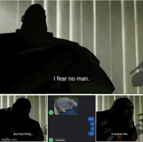 Fatatouille | image tagged in i fear no man | made w/ Imgflip meme maker