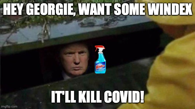 Trump Windex meme | HEY GEORGIE, WANT SOME WINDEX; IT'LL KILL COVID! | image tagged in trump pennywise,trump,donald trump,pennywise,windex | made w/ Imgflip meme maker