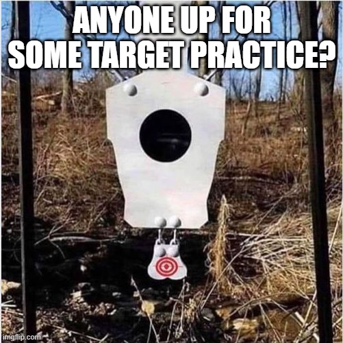 Wonder How Many Points You Get? | ANYONE UP FOR SOME TARGET PRACTICE? | image tagged in funny image | made w/ Imgflip meme maker