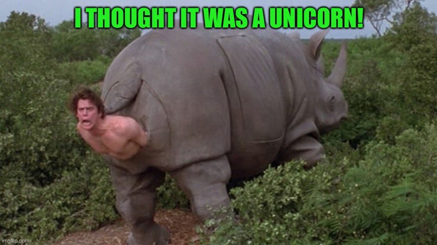 Ace Ventura rhino | I THOUGHT IT WAS A UNICORN! | image tagged in ace ventura rhino | made w/ Imgflip meme maker