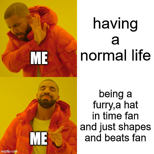 Drake Hotline Bling | having a normal life; ME; being a furry,a hat in time fan and just shapes and beats fan; ME | image tagged in memes,drake hotline bling | made w/ Imgflip meme maker