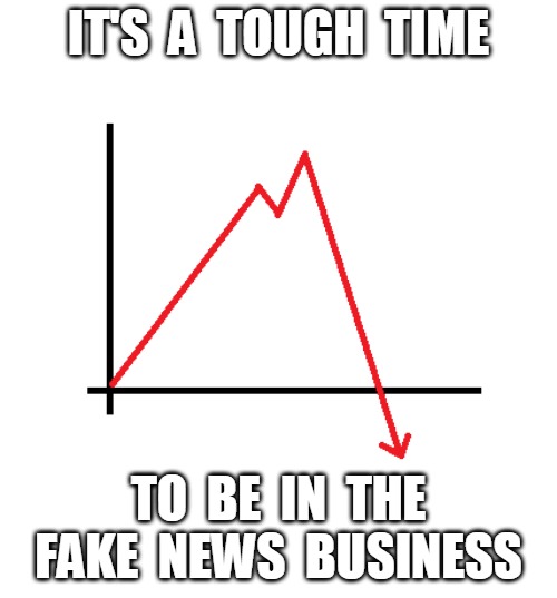Fake News Falling | IT'S  A  TOUGH  TIME; TO  BE  IN  THE
FAKE  NEWS  BUSINESS | image tagged in fake news,business,tough,time,graph,decline | made w/ Imgflip meme maker