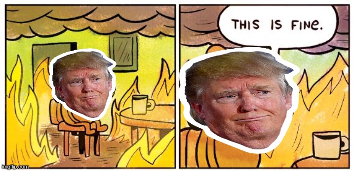Mr. Trump considers the pandemic | image tagged in memes,this is fine | made w/ Imgflip meme maker