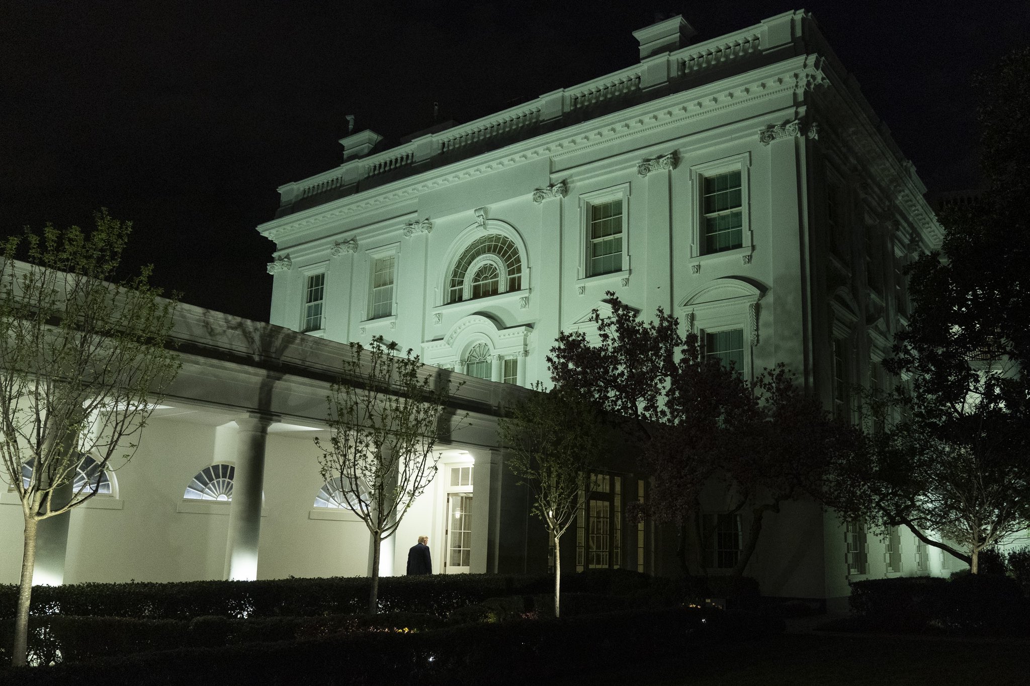 Trump Meme Blank Meme Template