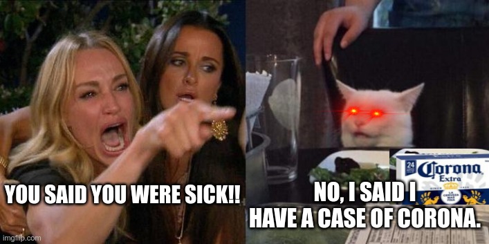 Woman Screaming at Cat |  NO, I SAID I HAVE A CASE OF CORONA. YOU SAID YOU WERE SICK!! | image tagged in woman screaming at cat | made w/ Imgflip meme maker