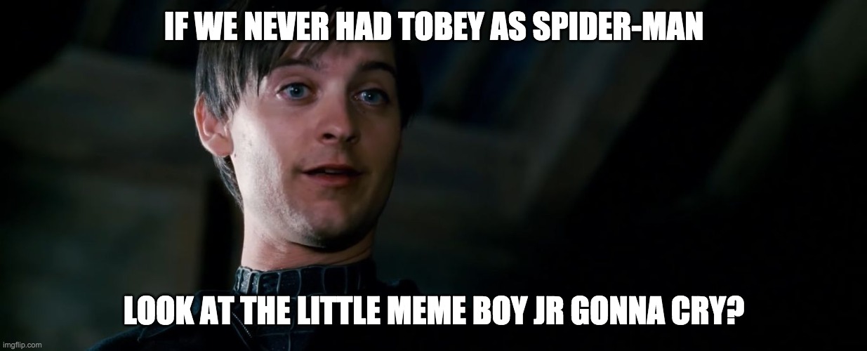 Gonna Cry |  IF WE NEVER HAD TOBEY AS SPIDER-MAN; LOOK AT THE LITTLE MEME BOY JR GONNA CRY? | image tagged in gonna cry | made w/ Imgflip meme maker