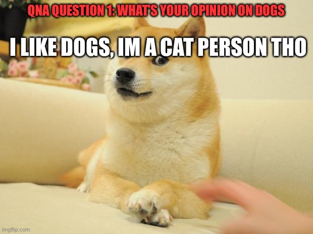 QnA question 1 | I LIKE DOGS, IM A CAT PERSON THO; QNA QUESTION 1: WHAT’S YOUR OPINION ON DOGS | image tagged in memes,doge 2 | made w/ Imgflip meme maker
