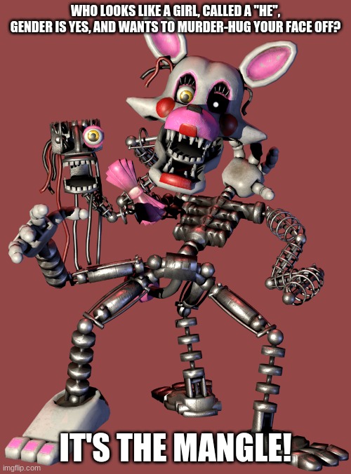 Mangle |  WHO LOOKS LIKE A GIRL, CALLED A "HE", GENDER IS YES, AND WANTS TO MURDER-HUG YOUR FACE OFF? IT'S THE MANGLE! | image tagged in mangle | made w/ Imgflip meme maker