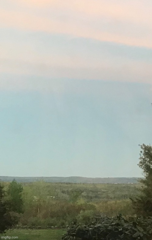 Makes a nice phone background, too. This is my yard! | made w/ Imgflip meme maker