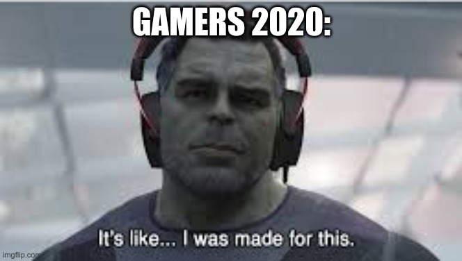 made for this shit |  GAMERS 2020: | image tagged in made for this shit | made w/ Imgflip meme maker