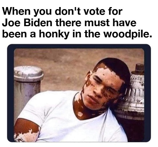 When you don't vote for Joe Biden | When you don't vote for Joe Biden there must have been a honky in the woodpile. | image tagged in creepy joe biden,liberal hypocrisy,shameless,voting suppression,bullying,honky | made w/ Imgflip meme maker