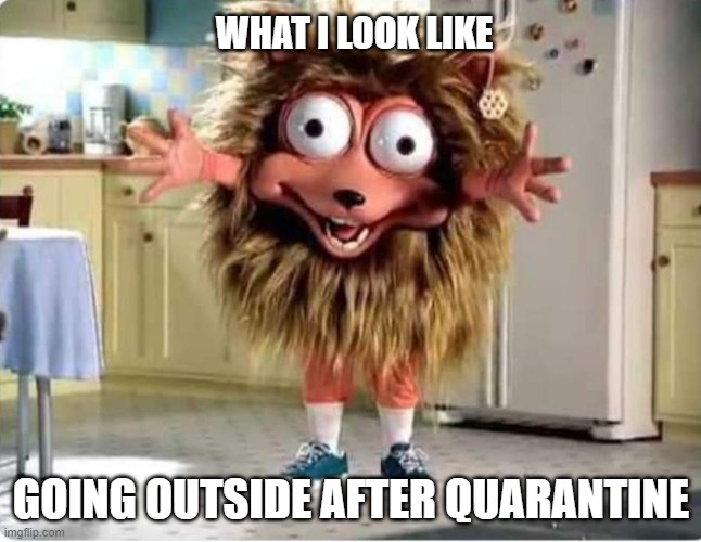 Quarantine Tweeker |  WHAT I LOOK LIKE; GOING OUTSIDE AFTER QUARANTINE | image tagged in honey comb crack addict,quarantine,crazy eyes,honey | made w/ Imgflip meme maker