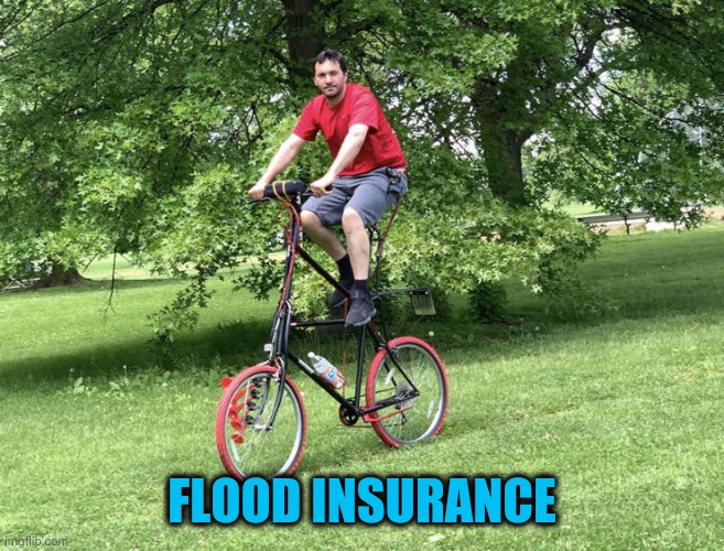 But how does he reach his water bottle? | FLOOD INSURANCE | image tagged in flood insurance | made w/ Imgflip meme maker