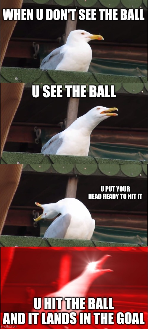 soccer |  WHEN U DON'T SEE THE BALL; U SEE THE BALL; U PUT YOUR HEAD READY TO HIT IT; U HIT THE BALL AND IT LANDS IN THE GOAL | image tagged in memes,inhaling seagull | made w/ Imgflip meme maker