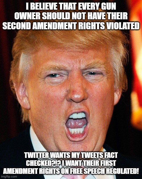 Donald Trump I Will Duck You Up | I BELIEVE THAT EVERY GUN OWNER SHOULD NOT HAVE THEIR SECOND AMENDMENT RIGHTS VIOLATED; TWITTER WANTS MY TWEETS FACT CHECKED?!? I WANT THEIR FIRST AMENDMENT RIGHTS ON FREE SPEECH REGULATED! | image tagged in donald trump i will duck you up | made w/ Imgflip meme maker