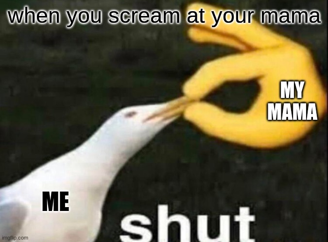 SHUT | when you scream at your mama; MY MAMA; ME | image tagged in shut | made w/ Imgflip meme maker