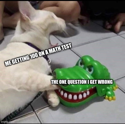 Me doing a math test | ME GETTING 100 ON A MATH TEST; THE ONE QUESTION I GET WRONG | image tagged in cat bitten by toy alligator | made w/ Imgflip meme maker