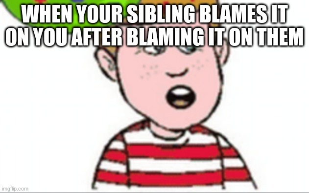 um | WHEN YOUR SIBLING BLAMES IT ON YOU AFTER BLAMING IT ON THEM | image tagged in wat | made w/ Imgflip meme maker
