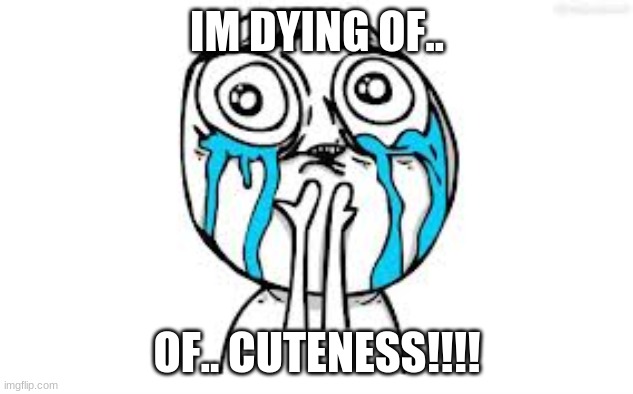 Crying Because Of Cute Meme | IM DYING OF.. OF.. CUTENESS!!!! | image tagged in memes,crying because of cute | made w/ Imgflip meme maker