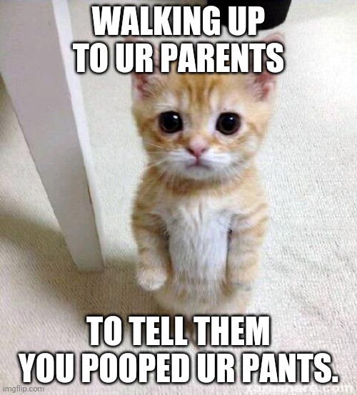 Cute Cat Meme | WALKING UP TO UR PARENTS; TO TELL THEM YOU POOPED UR PANTS. | image tagged in memes,cute cat | made w/ Imgflip meme maker