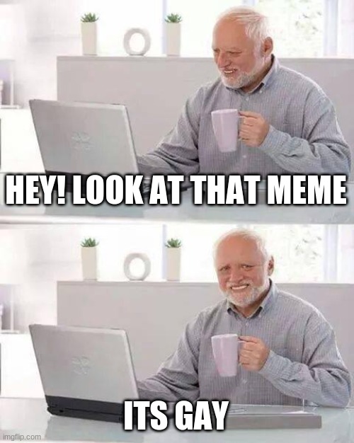Hide the Pain Harold Meme | HEY! LOOK AT THAT MEME ITS GAY | image tagged in memes,hide the pain harold | made w/ Imgflip meme maker