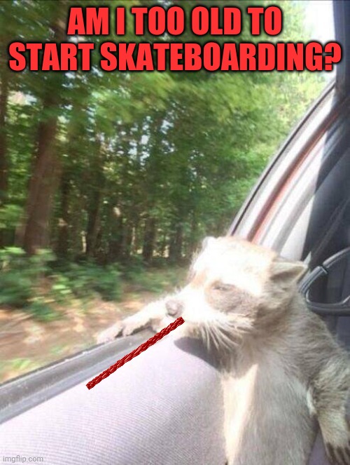 Chew on it | AM I TOO OLD TO START SKATEBOARDING? | image tagged in raccoon,boarding | made w/ Imgflip meme maker