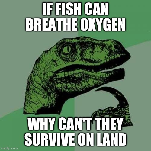 Philosoraptor Meme | IF FISH CAN BREATHE OXYGEN; WHY CAN'T THEY SURVIVE ON LAND | image tagged in memes,philosoraptor | made w/ Imgflip meme maker