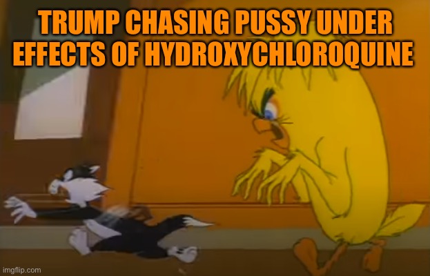 TRUMP CHASING PUSSY UNDER EFFECTS OF HYDROXYCHLOROQUINE | made w/ Imgflip meme maker
