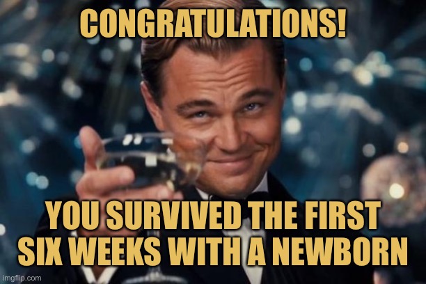 Surviving a newborn | CONGRATULATIONS! YOU SURVIVED THE FIRST SIX WEEKS WITH A NEWBORN | image tagged in memes,leonardo dicaprio cheers,newborn,parenting,cheers,congratulations | made w/ Imgflip meme maker