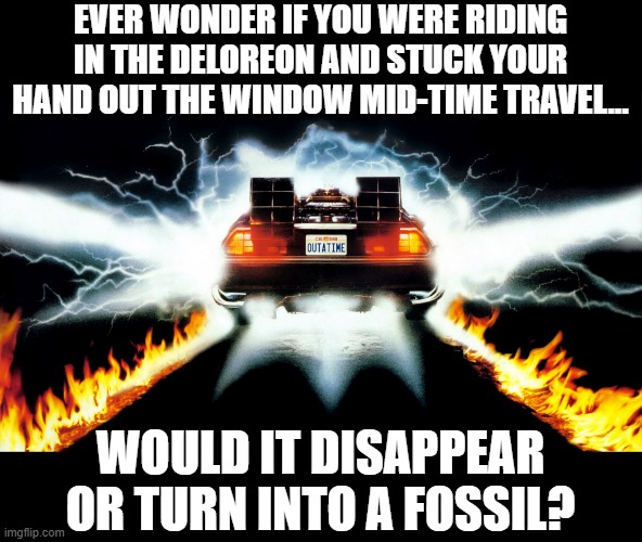 Time Travel Thought | EVER WONDER IF YOU WERE RIDING IN THE DELOREON AND STUCK YOUR HAND OUT THE WINDOW MID-TIME TRAVEL... WOULD IT DISAPPEAR OR TURN INTO A FOSSIL? | image tagged in back to the future | made w/ Imgflip meme maker