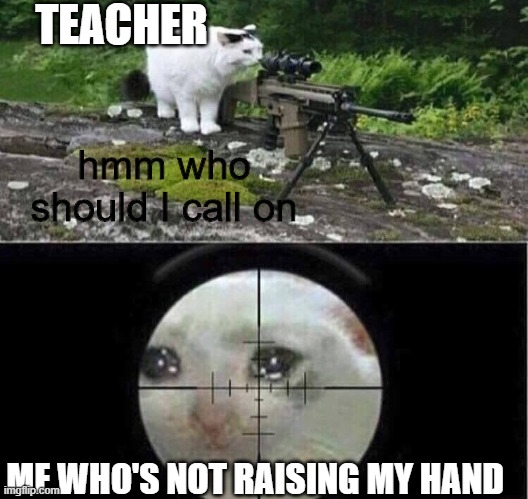 Sniper cat | TEACHER; hmm who should I call on; ME WHO'S NOT RAISING MY HAND | image tagged in sniper cat | made w/ Imgflip meme maker