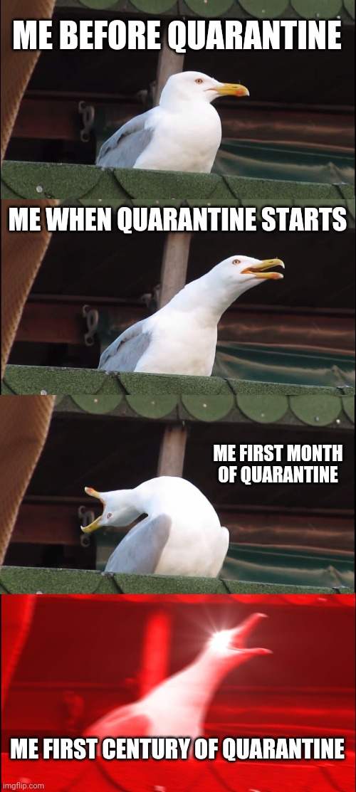 Inhaling Seagull Meme | ME BEFORE QUARANTINE; ME WHEN QUARANTINE STARTS; ME FIRST MONTH OF QUARANTINE; ME FIRST CENTURY OF QUARANTINE | image tagged in memes,inhaling seagull | made w/ Imgflip meme maker