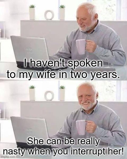 Hide The Pain Harold | I haven't spoken to my wife in two years. She can be really nasty when you interrupt her! | image tagged in memes,hide the pain harold,dad joke | made w/ Imgflip meme maker