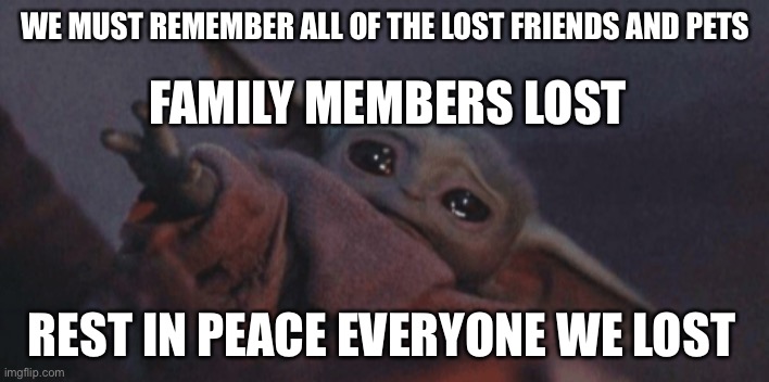 No really | WE MUST REMEMBER ALL OF THE LOST FRIENDS AND PETS; FAMILY MEMBERS LOST; REST IN PEACE EVERYONE WE LOST | image tagged in baby yoda cry,rest in peace,press f to pay respects,memes | made w/ Imgflip meme maker