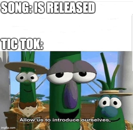 Allow us to introduce ourselves | SONG: IS RELEASED; TIC TOK: | image tagged in allow us to introduce ourselves | made w/ Imgflip meme maker