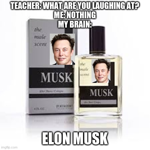 Elon Musk Musk | TEACHER: WHAT ARE YOU LAUGHING AT?
ME: NOTHING
MY BRAIN:; ELON MUSK | image tagged in elon musk,memes,puns,oh wow are you actually reading these tags,thisimagehasalotoftags,stop reading the tags | made w/ Imgflip meme maker