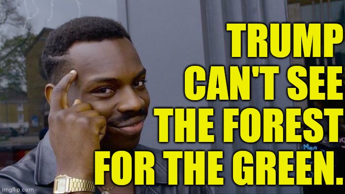Roll Safe Think About It Meme | TRUMP
CAN'T SEE
THE FOREST
FOR THE GREEN. | image tagged in memes,roll safe think about it | made w/ Imgflip meme maker