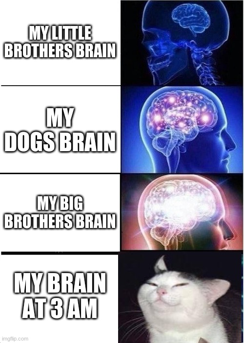Expanding Brain | MY LITTLE BROTHERS BRAIN; MY DOGS BRAIN; MY BIG BROTHERS BRAIN; MY BRAIN AT 3 AM | image tagged in memes,expanding brain | made w/ Imgflip meme maker