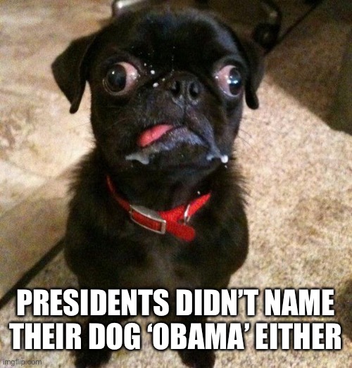PRESIDENTS DIDN’T NAME THEIR DOG ‘OBAMA’ EITHER | made w/ Imgflip meme maker