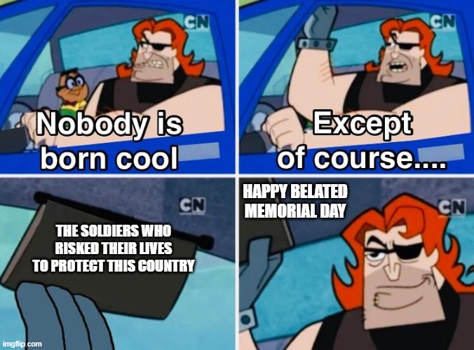 Nobody is born cool | HAPPY BELATED MEMORIAL DAY; THE SOLDIERS WHO RISKED THEIR LIVES TO PROTECT THIS COUNTRY | image tagged in nobody is born cool | made w/ Imgflip meme maker