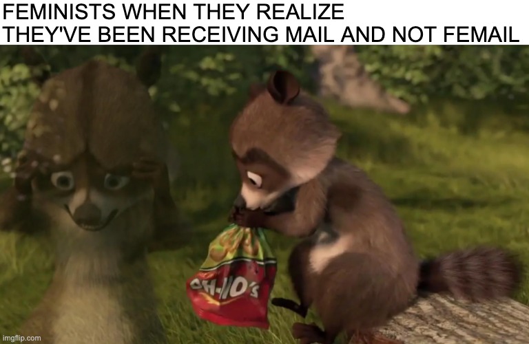 Another meme about feminists? How original. | FEMINISTS WHEN THEY REALIZE THEY'VE BEEN RECEIVING MAIL AND NOT FEMAIL | image tagged in triggered feminist,memes | made w/ Imgflip meme maker